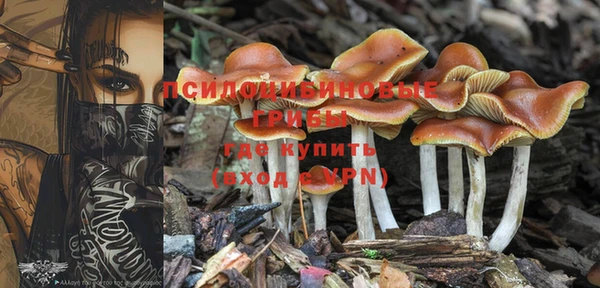 не бодяженный Арсеньев