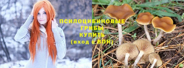 не бодяженный Арсеньев