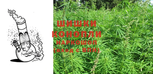 PSILOCYBIN Козельск